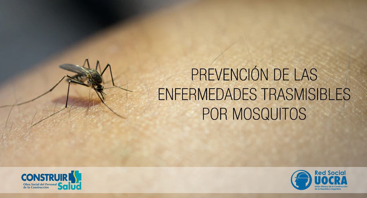 Prevención de las enfermedades trasmisibles por mosquitos