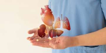 27 de febrero - D&iacute;a del Trasplante de &Oacute;rganos