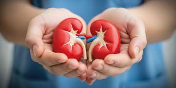 D&iacute;a Mundial del Ri&ntilde;&oacute;n - 12 de marzo de 2026