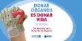 Día Nacional de la donación de órganos 