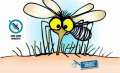 Foto noticia OSPeCon - Enfermedades transmitidas por mosquitos